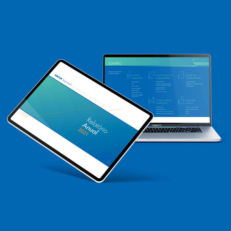 Relatório Anual – Caixa Seguridade